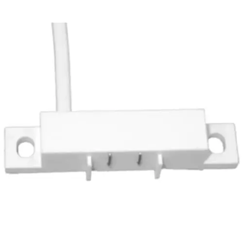 tane-magnet-ws-1